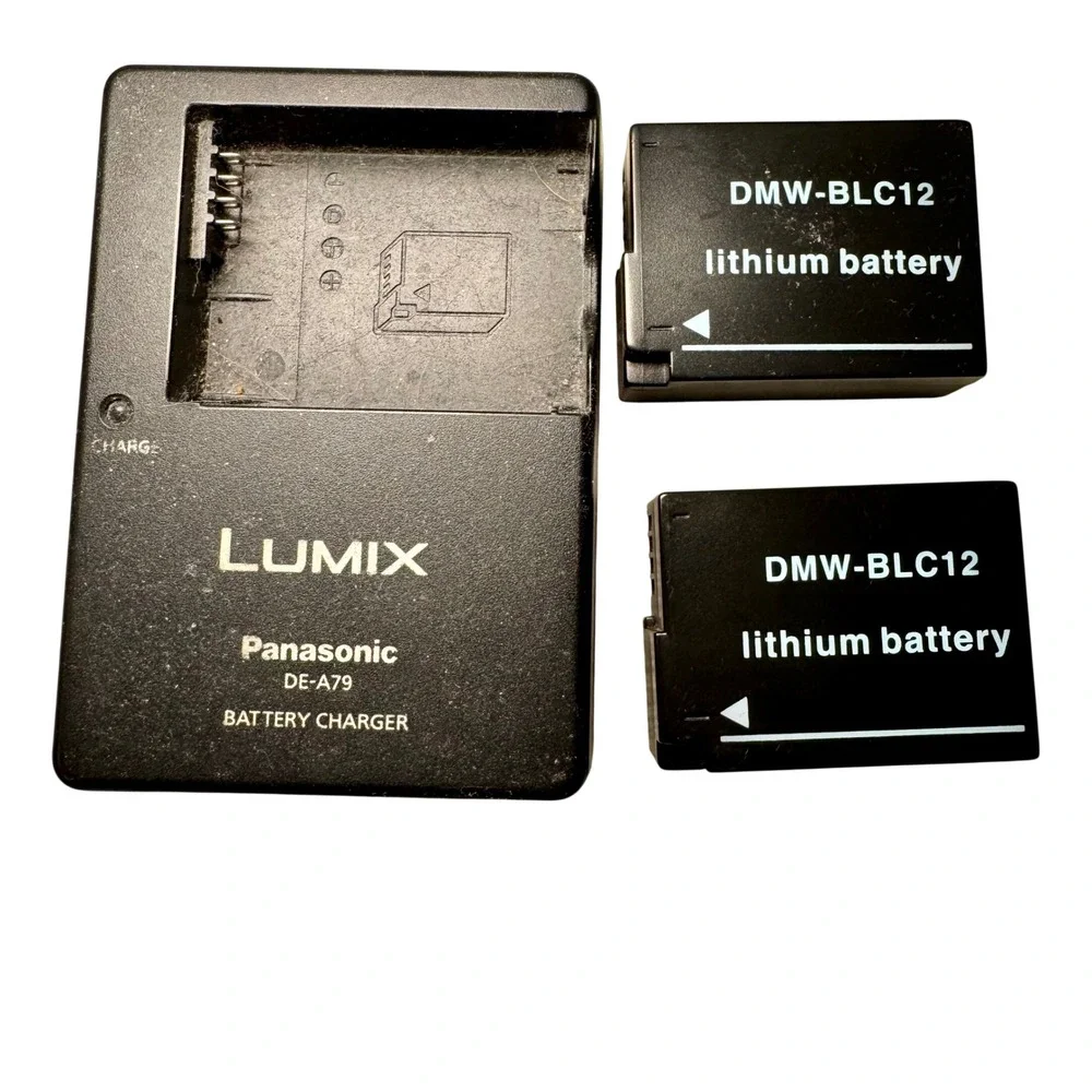 Panasonic Lumix DMC-FZ200 Digital Camera 24x Zoom f2.8 Leica Lens Bundle Black